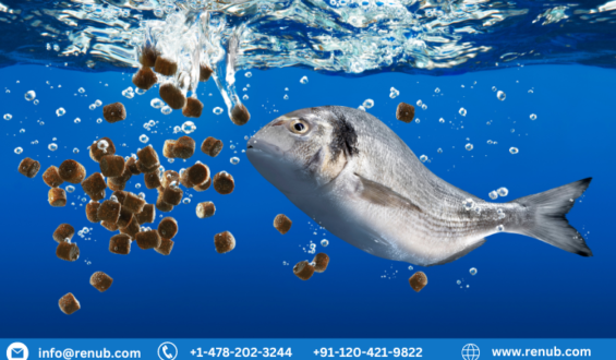 Fish Meal Market, Size, Global Forecast 2023-2030