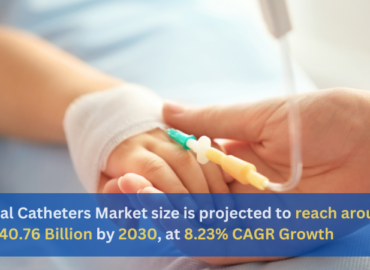 Catheter Market, Size, Global Forecast, Industry Trends, Share, Growth