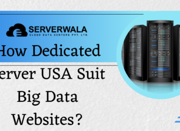 How Dedicated Servers USA Suits Big Data Websites?