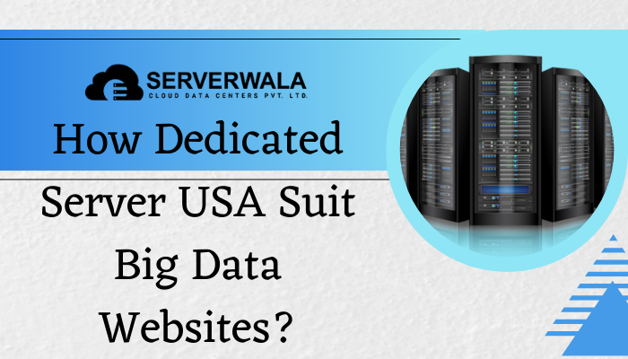 How Dedicated Servers USA Suits Big Data Websites?