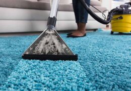 Why Carpet Cleaning Services is Vital for Maintaining Health